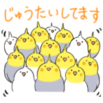 オカメインコの緊急時使えるスタンプ