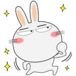 毎日、うさぎ家族