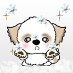 シーズーの冬 Vol.19