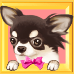 動く！ペットたち