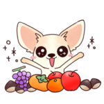 いやしの日常 チワワ（クリーム）編３