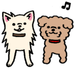 チワワとトイプー＆インコの日常★年末年始