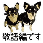 チワワのCOCOとLOUIS 敬語編