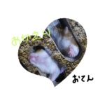 みんなみんなはむはむ？