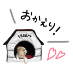 ぽんたの日常♡