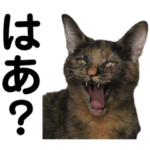 トラちゃんだもん！