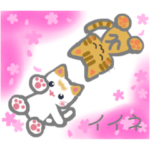 ふんわり シロちゃん×トラちゃんの春