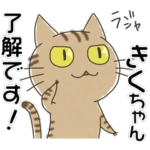 きくちゃん専用・名前スタンプ・茶とらネコ