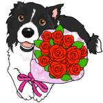 友達いっぱいボーダーコリー