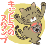 キジトラ猫の使えるスタンプ。2
