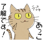 あっこ専用・名前スタンプ・茶とらネコ