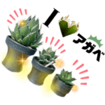 AGAVE LOVERのためのアガベスタンプ