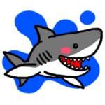 サメ、怖くない。