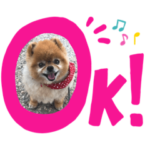 ココアすたんぷ。