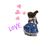 めこのうさ〜ず☆