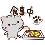 小さいアメショ