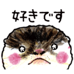 かわいいおめめウルルかわうそさん