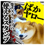 毎日使える柴犬スティーブ一家のスタンプ