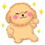 かわいいトイプードル❤️スタンプ