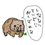 慰めてくれるウォンバットさんとなかまたち