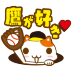 鷹を応援するネコ