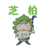 シバカッシーの日常