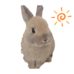 うちのうさまる