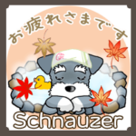 Schnauzer シュナウザー
