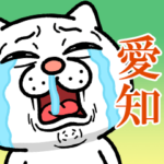 ウザ～～い猫★愛知