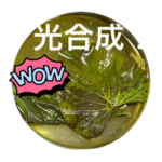 ちいの　スペシャルスタンプ