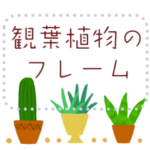 シンプルかわいい♥観葉植物フレーム