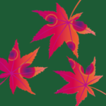 秋の風物詩&リスの冬支度