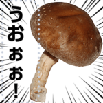 メッセージしいたけ
