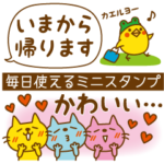 毎日使える CATS & PEACE 34