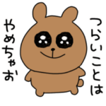 優しい ひきくま