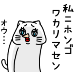 全力ねこカタコト編