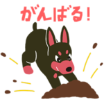 BARON BUDDIES 40 ドーベルマン