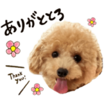 トトロちゃんスタンプ①