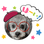 シルバートイプーのりんりん君挨拶3