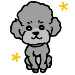 毎日かわいいトイプードル★シルバー