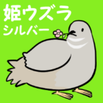 敬語のヒメウズラ・シルバー・かわいい小鳥