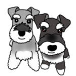 シュナの胡桃と珊瑚