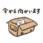 ノルにゃんとチンシル