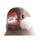 文鳥のりゅうちゃんとジモンのスタンプ