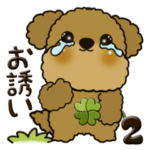 トイプードル 2『お誘い・etc.』