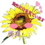 寂しがりやの花言葉