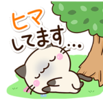 和やかな☆ちびシャム