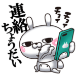 ひとえうさぎ63