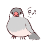 シルバー文鳥のすたんぷす