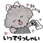 おしゃれシルバートイプードルの毎日